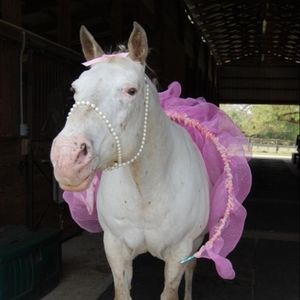 Meet your Posher, Mindy